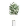 Artificial Olive Tree 6FT with Pot and Moss, Artificial Plants for Home Office Decor