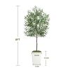 Artificial Olive Tree 6FT with Pot and Moss, Artificial Plants for Home Office Decor